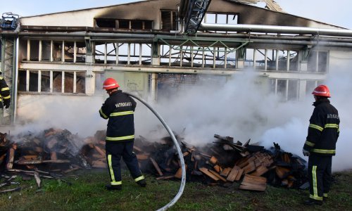 Šteta zbog požara u Spačvi oko 10 milijuna kuna