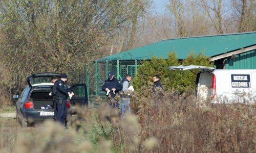 I dalje nema službenih podataka o pomoru pasa u Zagrebu