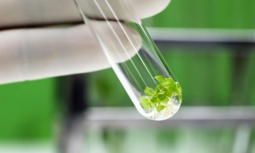 Teva dovršila preuzimanje Actavis Gerenricsa