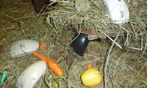 Zvuči kao šala, no CERN ima pravo pravcato utočište za računalne miševe