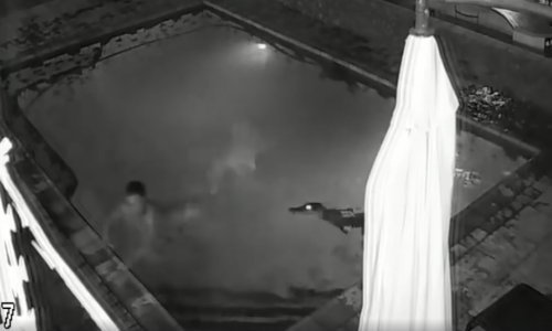 Ostavio curu na milost i nemilost aligatoru. Srećom, iskupio se