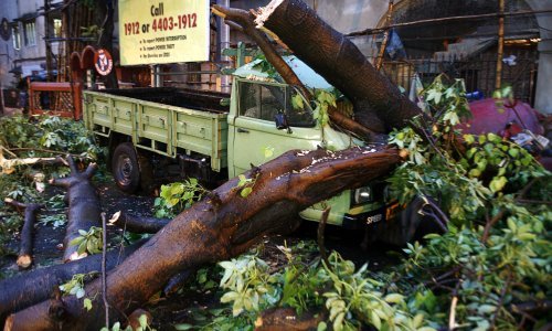 Na proslavi Velike Gospe u Portugalu srušilo se stablo i ubilo 11 ljudi