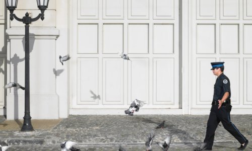 Zatvorenicima mobitele švercaju golubovi