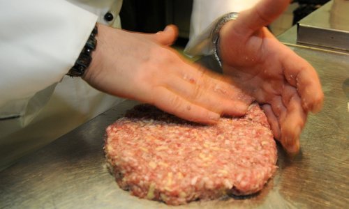 Ovu pljeskavicu ne kupujte, u njoj je pronađena salmonela