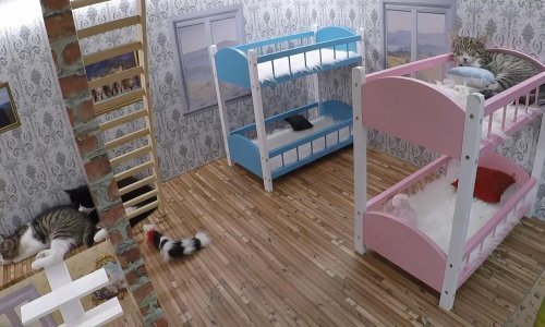 'Keeping Up With the Kattarshians' je najslađi reality show