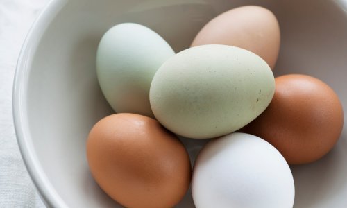 Zbog salmonele s tržišta se povlače jaja domaćeg proizvođača