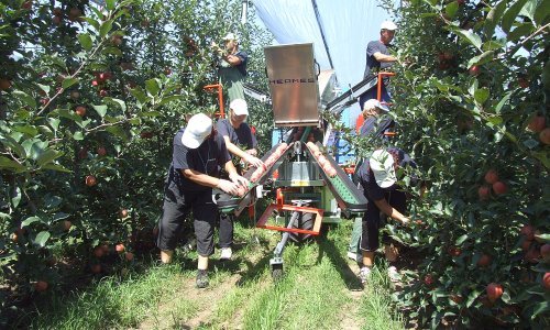 Voćarima, povrćarima, stočarima i peradarima 112,1 milijun kuna bespovratnih potpora