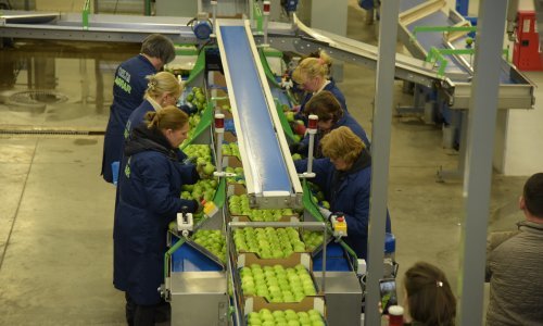 Posjetili smo najveći voćnjak južne Europe, čiji je vlasnik bacio oko na Agrokor