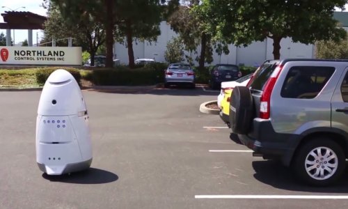 Pijani vozač pretukao robota koji je čuvao parking