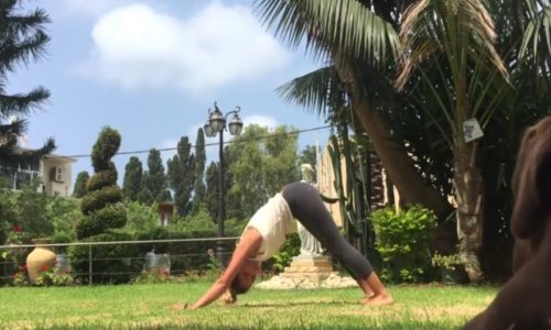 Može li se vježbanjem joge postići savršena stražnjica?