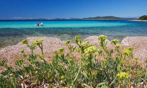 10 najboljih stvari koje možete raditi na Praznik rada