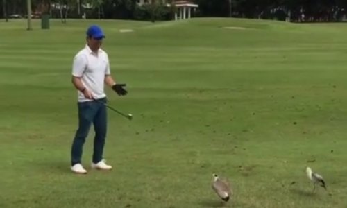 Tko bi rekao da golf može biti opasan sport