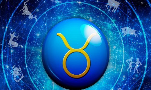 Bikovi: Marljivi i pouzdani ili tvrdoglave lijenčine?