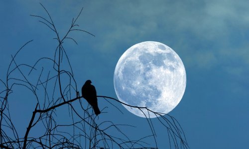 Pripazite, pun Mjesec u Škorpionu uznemirit će duhove