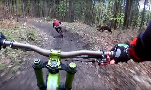 Ovo ne bismo voljeli doživjeti dok vozimo bicikl