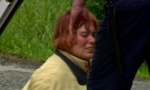 Amerikanka prilikom uhićenja kod Osijeka ubola nožem u vrat policajca