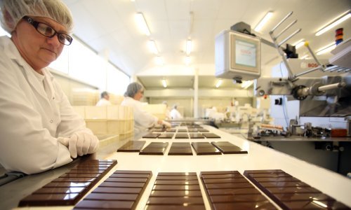 Zvečevo pred kolapsom. Kada je i kako pošlo po zlu?