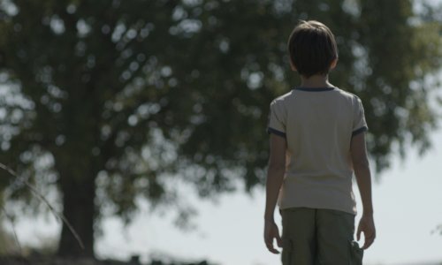 Hrvatski filmovi na 70. filmskom festivalu u Cannesu