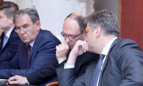 Posljednja predizborna sjednica: Vlada obradovala rodilje i napuštene životinje