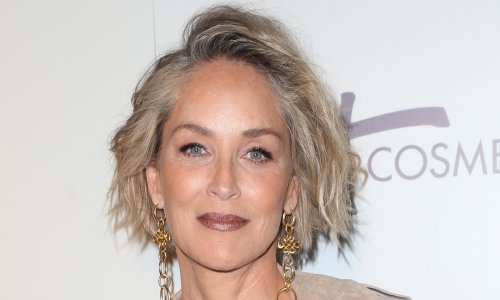 Sharon Stone: 'Zbog moždanog udara izgubila sam pamćenje i morala učiti sve ispočetka'