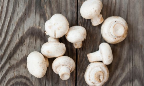 Ovo je najzdraviji način pripreme gljiva