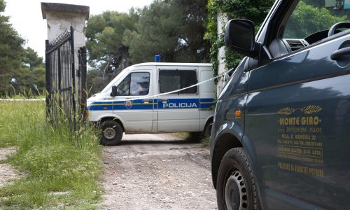 Uhićeno troje ljudi među kojima i majka trogodišnjeg dječaka ubijenog u Puli