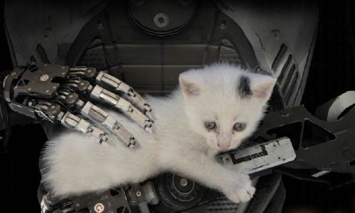 Domaći The Talos Principle i druge igre na brutalno niskim popustima