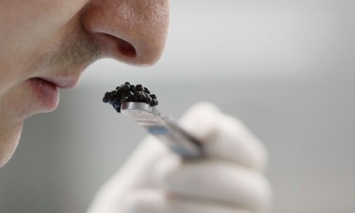 Luksuzna poslastica bogataša uskoro stiže i na vaše stolove