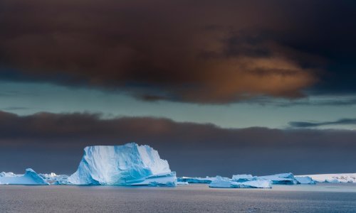 Zaleđeni virusi se bude i napadaju divlje životinje: Donose li nam klimatske promjene novu pandemiju?