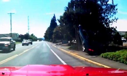 Ludo parkiranje koje ne biste trebali pokušavati kod kuće