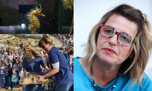 Upoznajte biologinju koja je štiteći Jadran postala biznismenka godine