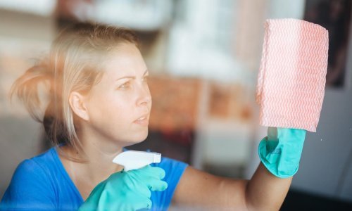 Ovi pomoćnici kućanske poslove bolje će raditi od vas