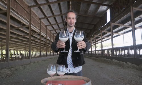 Sommelier za mlijeko zvuči kao uistinu bizaran posao