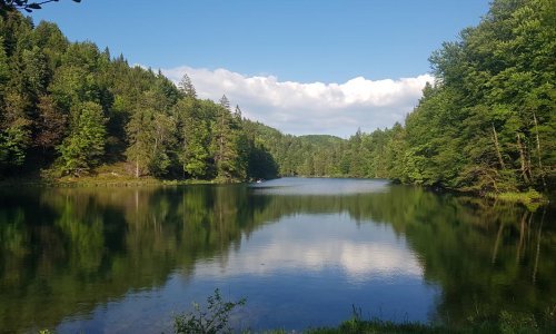 Evo po čemu je Hrvatska prva u Europskoj uniji