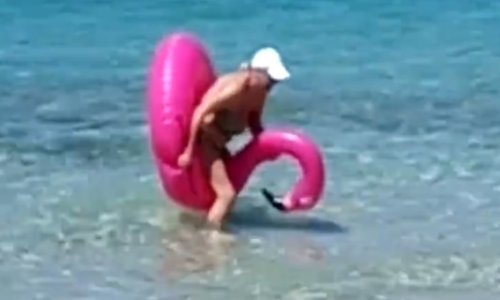 Bakica zajahala plamenca i privukla pažnju dvojice frajera