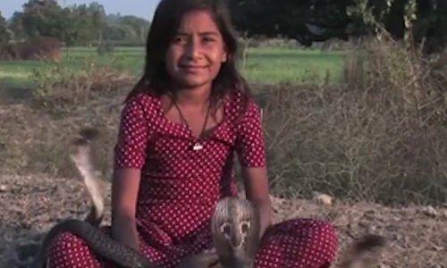 Ljudi joj baš nisu dragi pa se druži s kobrama