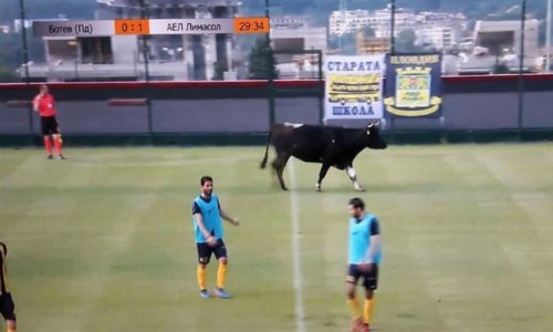 Nevjerojatne scene na nogometnom terenu! Ovog ima samo u Bugarskoj...