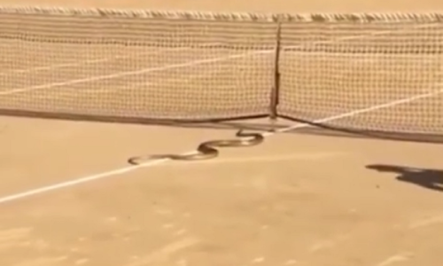 Nakon njezina ulaska na teren, više nikome nije bilo do tenisa