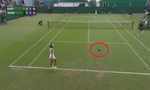 [VIDEO] Prekid u Wimbledonu zbog 'napada' iz zraka!