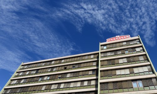 Podravka povlači dio asortimana smrznutog povrća s tržišta
