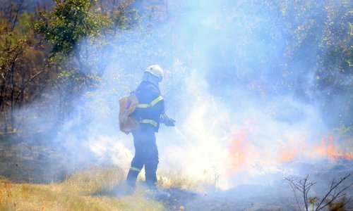 Požar kod Čepikuća pod nadzorom, gorjelo i na Konavoskim brdima