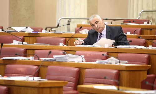 Saborski zastupnik poziva kolege da se odreknu zimskih praznika