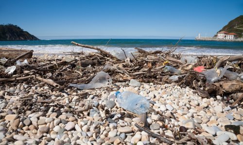 Kada bacite plastičnu bocu u more, sjetite se da može završiti u vašem želucu