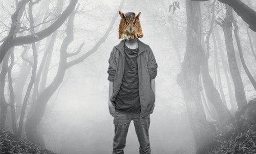 Osvojite knjigu Samuela Bjørka 'Sova'