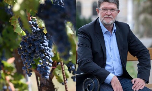 Europski mali otoci nominirali Piculu: Najviše je učinio za nas