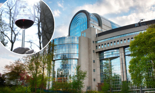 Slovenci poraženi, Hrvatska obranila pravo na ime Teran - Hrvatska Istra