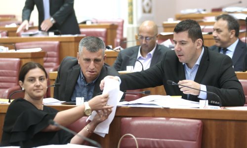 Najviše štete od Mostova zakona protiv 'markiranja' imat će upravo zastupnici Mosta