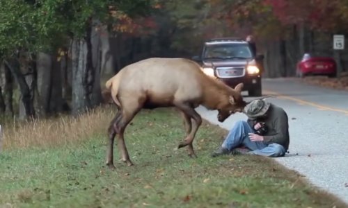Treba znati suočiti se sa sobom