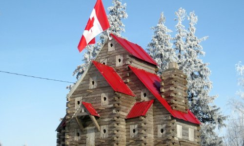 Luksuzna drvena kuća za dvadesetak tisuća kuna? Moguće je - ali za ptice