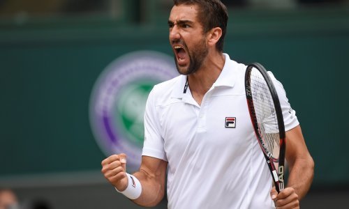 Čilić poslao poruku Federeru: Igram nevjerojatno i vjerujem u pobjedu!